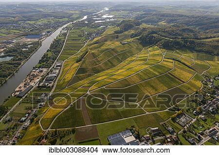 "Aerial view, Moselle wine region, Moselle valley, vineyards of Schengen, Wellenstein, Schengen, Remich, Luxembourg, Europe" View Large Photo Image Picture - "Aerial view, Moselle wine region, Moselle valley, vineyards of Schengen, Wellenstein, Schengen, Remich, Luxembourg, Europe". Fotosearch