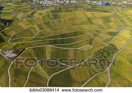 Picture - "Aerial view, Moselle wine region, Moselle valley, vineyards of Schengen, Wellenstein, Schengen, Remich, Luxembourg, Europe". Fotosearch