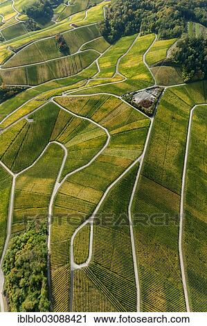 "Aerial view, Moselle wine region, Moselle valley, vineyards of Schengen, Wellenstein, Schengen, Remich, Luxembourg, Europe" View Large Photo Image Stock Image - "Aerial view, Moselle wine region, Moselle valley, vineyards of Schengen, Wellenstein, Schengen, Remich, Luxembourg, Europe". Fotosearch