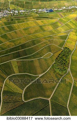 Stock Photo - "Aerial view, Moselle wine region, Moselle valley, vineyards of Schengen, Wellenstein, Schengen, Remich, Luxembourg, Europe". Fotosearch