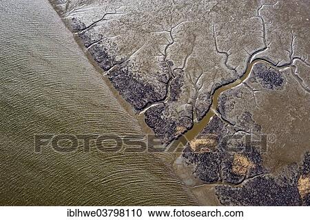 "Aerial view, mudflats on the Elbe river at low tide, Brunsbuttel, Schleswig-Holstein, Germany, Europe" View Large Photo Image Stock Image - "Aerial view, mudflats on the Elbe river at low tide, Brunsbuttel, Schleswig-Holstein, Germany, Europe". Fotosearch