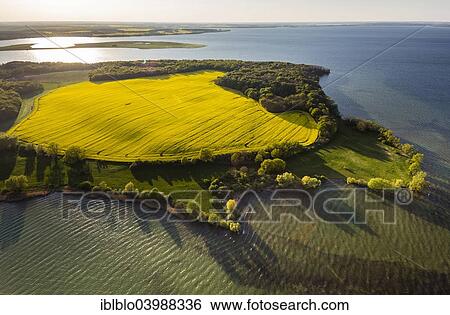 "Aerial view, Muritz Lake and rape field near Ludorf, Great Lakes of Mecklenburg, Ludorf, Mecklenburg Lake District, Mecklenburg-Western Pomerania, Germany, Europe" View Large Photo Image Stock Photograph - "Aerial view, Muritz Lake and rape field near Ludorf, Great Lakes of Mecklenburg, Ludorf, Mecklenburg Lake District, Mecklenburg-Western Pomerania, Germany, Europe". Fotosearch