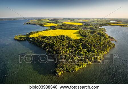 Stock Image - "Aerial view, Muritz Lake, rape fields, Mecklenburg Lake District, Ludorf, Mecklenburg-Western Pomerania, Germany, Europe". Fotosearch