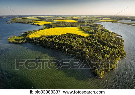 "Aerial view, Muritz Lake, rape fields, Mecklenburg Lake District, Ludorf, Mecklenburg-Western Pomerania, Germany, Europe" View Large Photo Image Stock Photo - "Aerial view, Muritz Lake, rape fields, Mecklenburg Lake District, Ludorf, Mecklenburg-Western Pomerania, Germany, Europe". Fotosearch