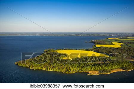 "Aerial view, Muritz Lake, rape fields, town of Robel Muritz, Mecklenburg Lake District, Mecklenburg-Western Pomerania, Germany, Europe" View Large Photo Image Stock Photo - "Aerial view, Muritz Lake, rape fields, town of Robel Muritz, Mecklenburg Lake District, Mecklenburg-Western Pomerania, Germany, Europe". Fotosearch