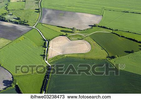 "Aerial view of a heart-shaped field, agriculture with heart, Trittau, Schleswig-Holstein, Germany, Europe" View Large Photo Image Stock Image - "Aerial view of a heart-shaped field, agriculture with heart, Trittau, Schleswig-Holstein, Germany, Europe". Fotosearch