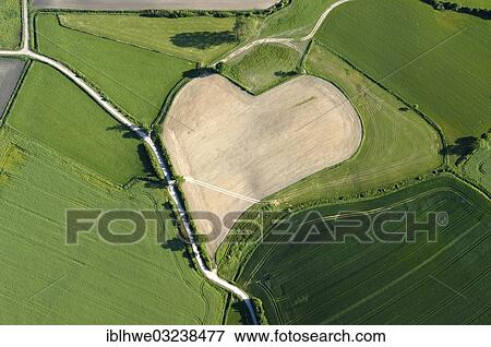 "Aerial view of a heart-shaped field, agriculture with heart, Trittau, Schleswig-Holstein, Germany, Europe" View Large Photo Image Stock Photo - "Aerial view of a heart-shaped field, agriculture with heart, Trittau, Schleswig-Holstein, Germany, Europe". Fotosearch