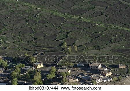 "Aerial view of Kaza village and small fields, Spiti valley, Kaza, Himachal Pradesh, India, Asia" View Large Photo Image Picture - "Aerial view of Kaza village and small fields, Spiti valley, Kaza, Himachal Pradesh, India, Asia". Fotosearch