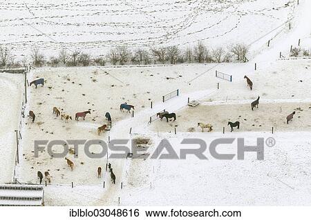 "Aerial view, paddock in the snow, horseriding stable on the road Laupendahler Landstrasse, Essen-Kettwig, Essen, North Rhine-Westphalia, Germany, Europe" View Large Photo Image Stock Photograph - "Aerial view, paddock in the snow, horseriding stable on the road Laupendahler Landstrasse, Essen-Kettwig, Essen, North Rhine-Westphalia, Germany, Europe". Fotosearch