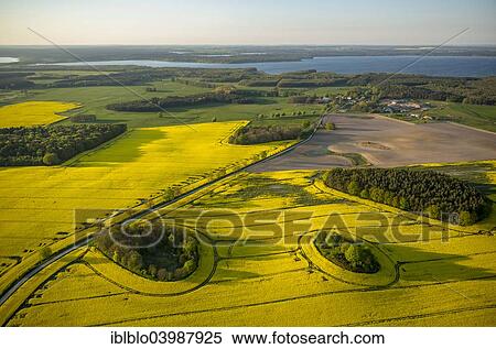 "Aerial view, Rape fields between Gohren and Klink on the Muritz lake, Gohren-Lebbin, Mecklenburg Lake District, Mecklenburg-Western Pomerania, Germany, Europe" View Large Photo Image Stock Photography - "Aerial view, Rape fields between Gohren and Klink on the Muritz lake, Gohren-Lebbin, Mecklenburg Lake District, Mecklenburg-Western Pomerania, Germany, Europe". Fotosearch