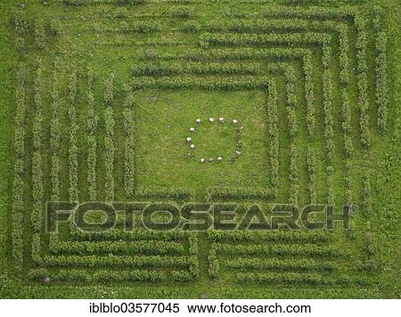 "Aerial view, Ripshorst wood garden, Haus Riphorst, Oberhausen, North Rhine-Westphalia, Germany, Europe" View Large Photo Image Stock Photography - "Aerial view, Ripshorst wood garden, Haus Riphorst, Oberhausen, North Rhine-Westphalia, Germany, Europe". Fotosearch