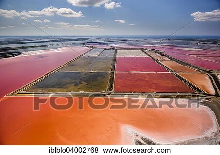 "Aerial view, salt pans, red salt marshes for salt production, Aigues-Mortes, Camargue, Languedoc-Roussillon, South of France, France, Europe" View Large Photo Image Stock Photo - "Aerial view, salt pans, red salt marshes for salt production, Aigues-Mortes, Camargue, Languedoc-Roussillon, South of France, France, Europe". Fotosearch