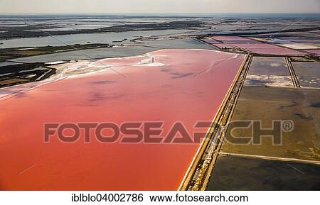 "Aerial view, salt pans, red salt marshes for salt production, Aigues-Mortes, Camargue, Languedoc-Roussillon, South of France, France, Europe" View Large Photo Image Stock Photograph - "Aerial view, salt pans, red salt marshes for salt production, Aigues-Mortes, Camargue, Languedoc-Roussillon, South of France, France, Europe". Fotosearch