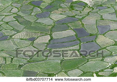 "Aerial view, small fields, Spiti valley, Himachal Pradesh, India, Asia" View Large Photo Image Picture - "Aerial view, small fields, Spiti valley, Himachal Pradesh, India, Asia". Fotosearch