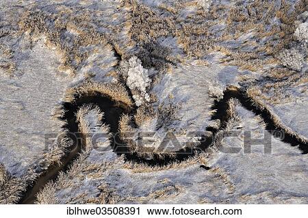 "Aerial view, tidal creek in freshwater mud flats in winter, Heuckenlock Nature Reserve, Moorwerder, Hamburg, Hamburg, Germany, Europe" View Large Photo Image Stock Image - "Aerial view, tidal creek in freshwater mud flats in winter, Heuckenlock Nature Reserve, Moorwerder, Hamburg, Hamburg, Germany, Europe". Fotosearch