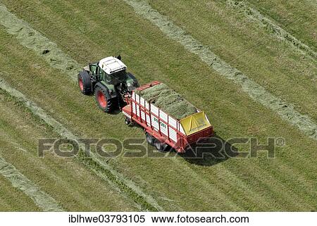 "Aerial view, tractor harvesting forage crops, Hamburg, Germany, Europe" View Large Photo Image Stock Photography - "Aerial view, tractor harvesting forage crops, Hamburg, Germany, Europe". Fotosearch