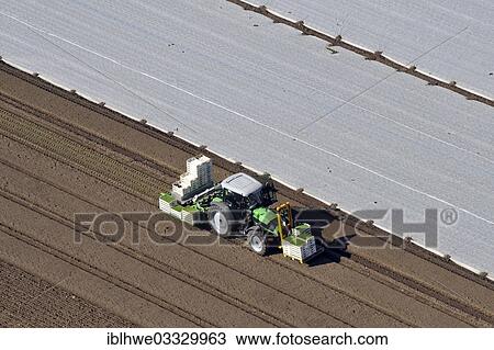 "Aerial view, tractor on a field, vegetable cultivation, Trittau, Schleswig-Holstein, Germany, Europe" View Large Photo Image Stock Image - "Aerial view, tractor on a field, vegetable cultivation, Trittau, Schleswig-Holstein, Germany, Europe". Fotosearch