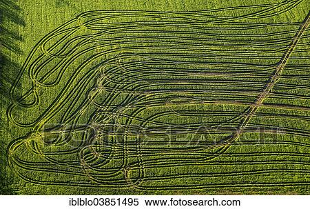"Aerial view, tractor tracks on a green field, North Rhine-Westphalia, Germany, Europe" View Large Photo Image Stock Photography - "Aerial view, tractor tracks on a green field, North Rhine-Westphalia, Germany, Europe". Fotosearch