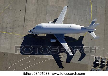 Stock Image - "Aerial view, transport aircraft Airbus A300-600ST Super Transporter, also known as Beluga, Hamburg, Hamburg, Germany, Europe". Fotosearch