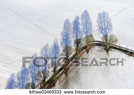 "Aerial view, tree-lined avenue in winter, Stellshagen, Mecklenburg Vorpommern, Germany, Europe" View Large Photo Image Stock Image - "Aerial view, tree-lined avenue in winter, Stellshagen, Mecklenburg Vorpommern, Germany, Europe". Fotosearch