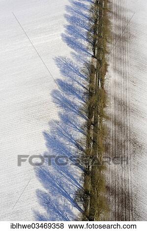 "Aerial view, tree-lined avenue in winter, Stellshagen, Mecklenburg Vorpommern, Germany, Europe" View Large Photo Image Stock Photo - "Aerial view, tree-lined avenue in winter, Stellshagen, Mecklenburg Vorpommern, Germany, Europe". Fotosearch