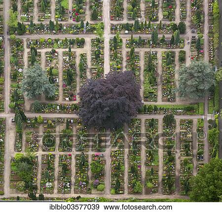 "Aerial view, urnfields at Marienfriedhof cemetery, Oberhausen, North Rhine-Westphalia, Germany, Europe" View Large Photo Image Stock Photo - "Aerial view, urnfields at Marienfriedhof cemetery, Oberhausen, North Rhine-Westphalia, Germany, Europe". Fotosearch