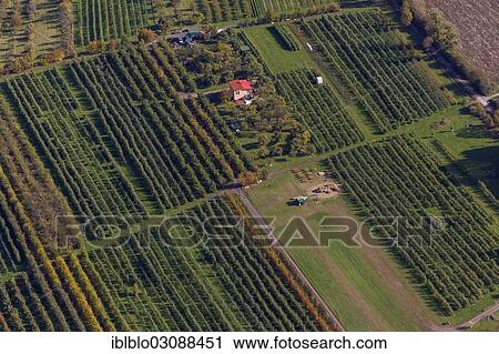 "Aerial view, vineyards, city centre, Merzig, Saarland, Germany, Europe" View Large Photo Image Stock Image - "Aerial view, vineyards, city centre, Merzig, Saarland, Germany, Europe". Fotosearch