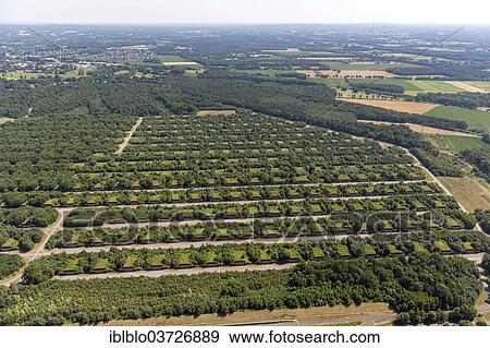 "Aerial view, Wulfen army ammunition depot, ammunition bunker of the German Armed Forces, Wulfen, Dorsten, North Rhine-Westphalia, Germany, Europe" View Large Photo Image Stock Photo - "Aerial view, Wulfen army ammunition depot, ammunition bunker of the German Armed Forces, Wulfen, Dorsten, North Rhine-Westphalia, Germany, Europe". Fotosearch
