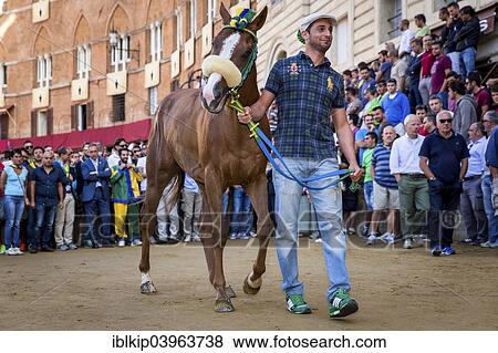 Stock Photo - "After the Palio di Siena the horses are presented to the spectators and supporters, Piazza del Campo, Siena, Tuscany, Italy, Europe". Fotosearch