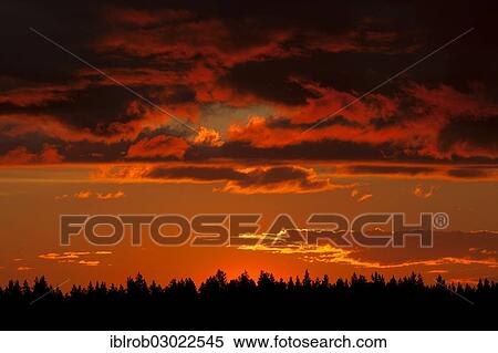 Stock Photography - "Afterglow after sunset, Mittel-Finnland, Finland, Europe". Fotosearch
