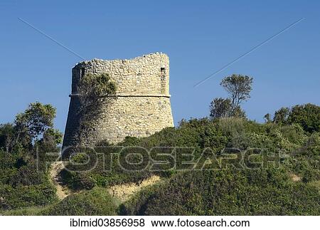 "Age, dilapidated Genoese tower, round tower, near Aleria, Corsica, France, Europe" View Large Photo Image Stock Photo - "Age, dilapidated Genoese tower, round tower, near Aleria, Corsica, France, Europe". Fotosearch