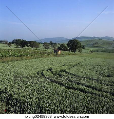 Stock Image - "Agricultural landscape, Limagne plain, Puy de Dome, Auvergne, France, Europe". Fotosearch