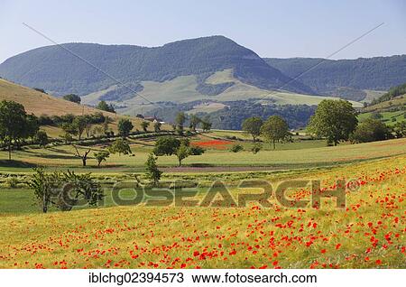 "Agricultural landscape near Peyre, Millau, Parc Naturel Regional des Grands Causses, Natural Regional Park of Grands Causses, Aveyron, Midi Pyrenees, France, Europe" View Large Photo Image Stock Image - "Agricultural landscape near Peyre, Millau, Parc Naturel Regional des Grands Causses, Natural Regional Park of Grands Causses, Aveyron, Midi Pyrenees, France, Europe". Fotosearch