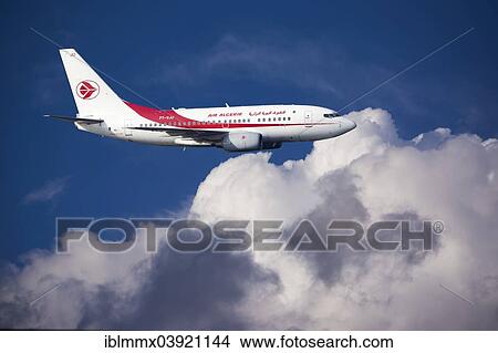 Picture - Air Algerie Boeing 737-6D6 in flight. Fotosearch