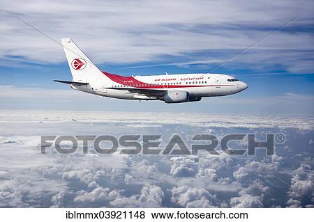 Air Algerie Boeing 737-6D6 in flight View Large Photo Image Stock Photo - Air Algerie Boeing 737-6D6 in flight. Fotosearch