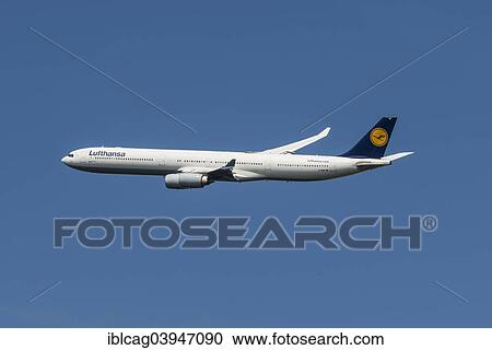 Stock Image - "Airbus A 340-600 of Lufthansa taking off from Frankfurt Airport, Frankfurt am Main, Hesse, Germany, Europe". Fotosearch