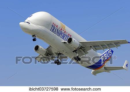 "Airbus A300-600ST Super Transporter, transport aircraft taking off, Finkenwerder, Hamburg, Hamburg, Germany, Europe" View Large Photo Image Stock Photo - "Airbus A300-600ST Super Transporter, transport aircraft taking off, Finkenwerder, Hamburg, Hamburg, Germany, Europe". Fotosearch