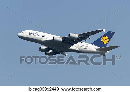 Stock Photo - "Airbus A380-800 Lufthansa starting from Frankfurt Airport, Frankfurt am Main, Hesse, Germany, Europe". Fotosearch