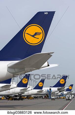 "Aircrafts of the Deutsche Lufthansa AG on their parking positions in Terminal 2, Munich Airport, Munich, Upper Bavaria, Bavaria, Germany, Europe" View Large Photo Image Stock Photograph - "Aircrafts of the Deutsche Lufthansa AG on their parking positions in Terminal 2, Munich Airport, Munich, Upper Bavaria, Bavaria, Germany, Europe". Fotosearch