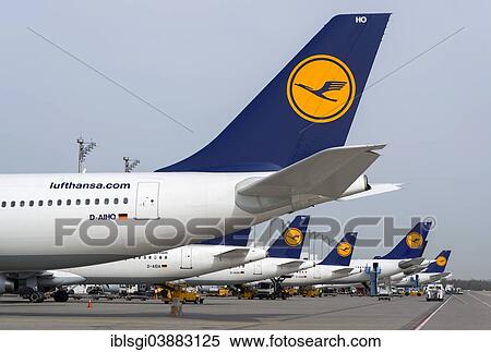 "Aircrafts of the Deutsche Lufthansa AG on their parking positions in Terminal 2, Munich Airport, Munich, Upper Bavaria, Bavaria, Germany, Europe" View Large Photo Image Stock Photography - "Aircrafts of the Deutsche Lufthansa AG on their parking positions in Terminal 2, Munich Airport, Munich, Upper Bavaria, Bavaria, Germany, Europe". Fotosearch