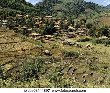 "Akha village on the Burmese border in the west of Chiang Rai, rice paddies, rice terraces, Chiang Rai Province, Northern Thailand, Thailand, Asia" View Large Photo Image Stock Photo - "Akha village on the Burmese border in the west of Chiang Rai, rice paddies, rice terraces, Chiang Rai Province, Northern Thailand, Thailand, Asia". Fotosearch