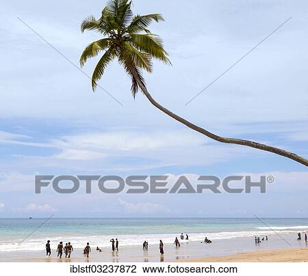 "Akurala Beach, Westkuste, Sudprovinz, Sri Lanka, Asia" View Large Photo Image Stock Image - "Akurala Beach, Westkuste, Sudprovinz, Sri Lanka, Asia". Fotosearch