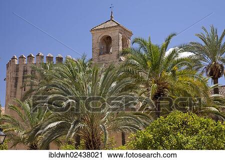 "Alcazar of Cordoba, palm trees in the foreground, Cordoba, Andalusia, Spain, Europe, PublicGround, Europe" View Large Photo Image Stock Image - "Alcazar of Cordoba, palm trees in the foreground, Cordoba, Andalusia, Spain, Europe, PublicGround, Europe". Fotosearch