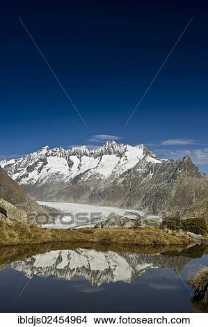 "Aletsch Glacier and the Bernese Oberland, UNESCO World Heritage Site, Bettmeralp, Valais, Switzerland, Europe" View Large Photo Image Picture - "Aletsch Glacier and the Bernese Oberland, UNESCO World Heritage Site, Bettmeralp, Valais, Switzerland, Europe". Fotosearch