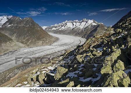 "Aletsch Glacier and the Bernese Oberland, UNESCO World Heritage Site, Bettmeralp, Valais, Switzerland, Europe" View Large Photo Image Stock Image - "Aletsch Glacier and the Bernese Oberland, UNESCO World Heritage Site, Bettmeralp, Valais, Switzerland, Europe". Fotosearch