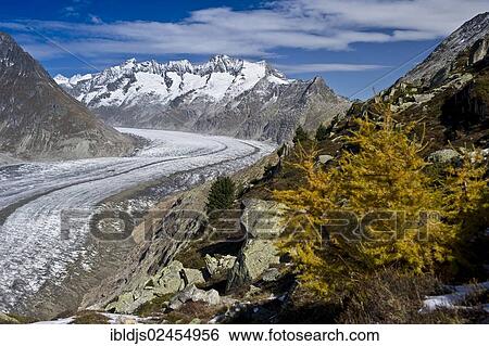 Stock Photograph - "Aletsch Glacier and the Bernese Oberland, UNESCO World Heritage Site, Bettmeralp, Valais, Switzerland, Europe". Fotosearch