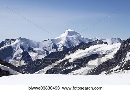 "Aletschhorn Mountain, 4195 m, Aletsch Glacier, Bernese Oberland, Canton of Bern, Switzerland, Europe" View Large Photo Image Stock Image - "Aletschhorn Mountain, 4195 m, Aletsch Glacier, Bernese Oberland, Canton of Bern, Switzerland, Europe". Fotosearch