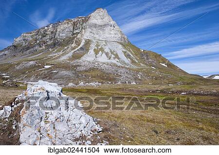 "Alkehornet, Spitsbergen West coast, Svalbard archipelago, Norway, Europe" View Large Photo Image Picture - "Alkehornet, Spitsbergen West coast, Svalbard archipelago, Norway, Europe". Fotosearch