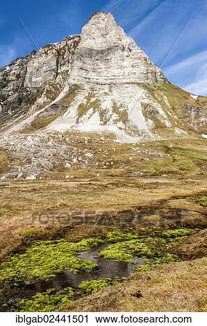Stock Image - "Alkehornet, Spitsbergen West coast, Svalbard archipelago, Norway, Europe". Fotosearch