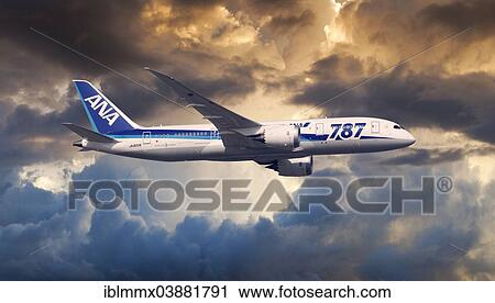All Nippon Airways Boeing 787-8 Dreamliner in flight in the evening View Large Photo Image Stock Image - All Nippon Airways Boeing 787-8 Dreamliner in flight in the evening. Fotosearch